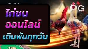 ไก่ชนออนไลน์